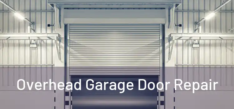  Overhead Garage Door Repair 
